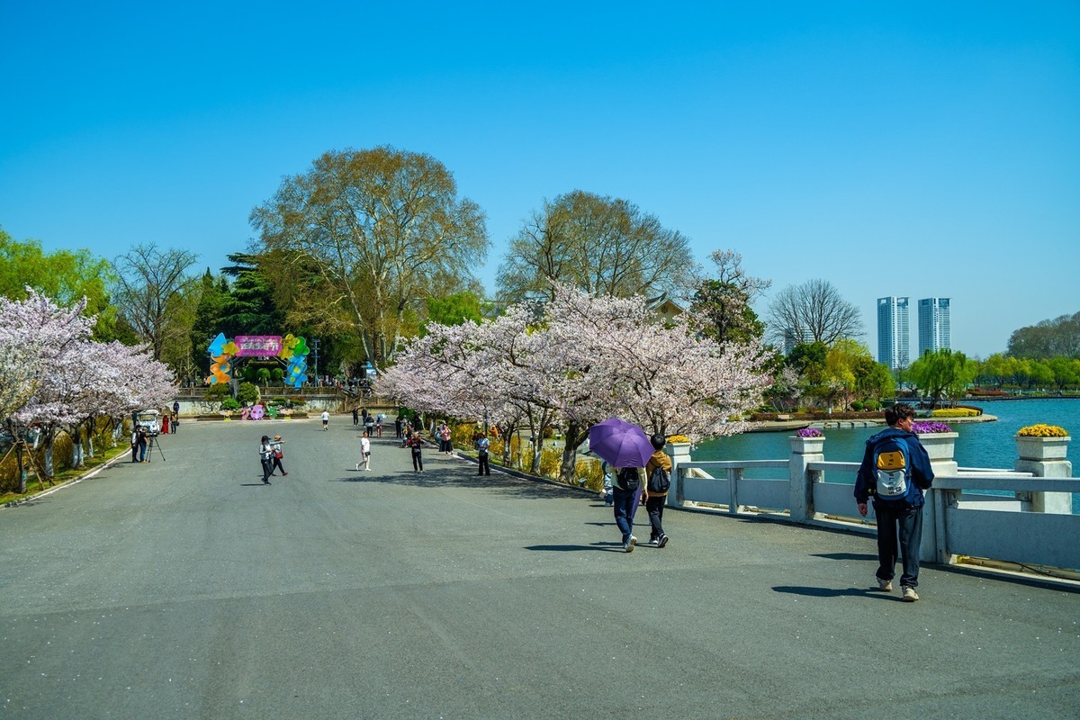 江南行—南京玄武湖—(44)—(4)