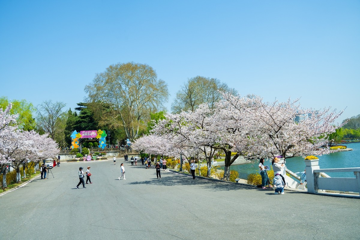 江南行—南京玄武湖—(44)—(4)