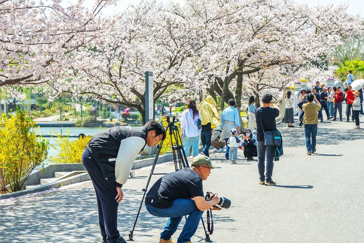 江南行—南京玄武湖—(44)—(4)