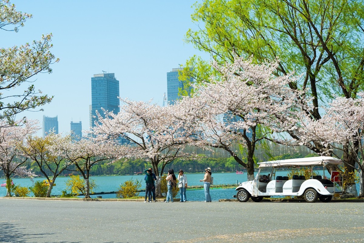 江南行—南京玄武湖—(44)—(4)