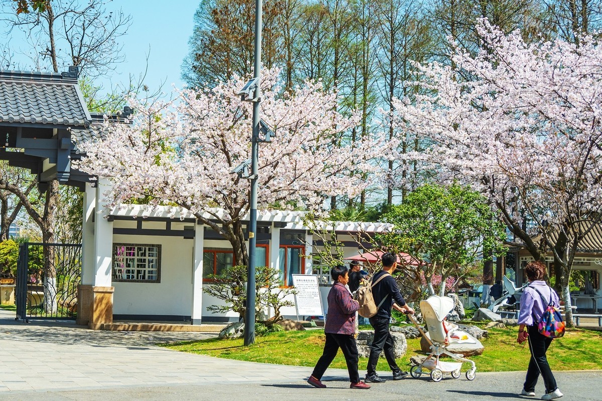 江南行—南京玄武湖—(44)—(4)