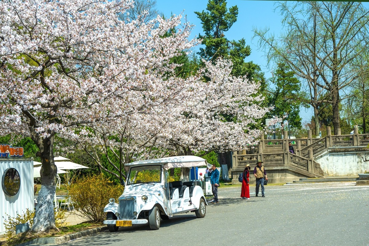 江南行—南京玄武湖—(44)—(4)