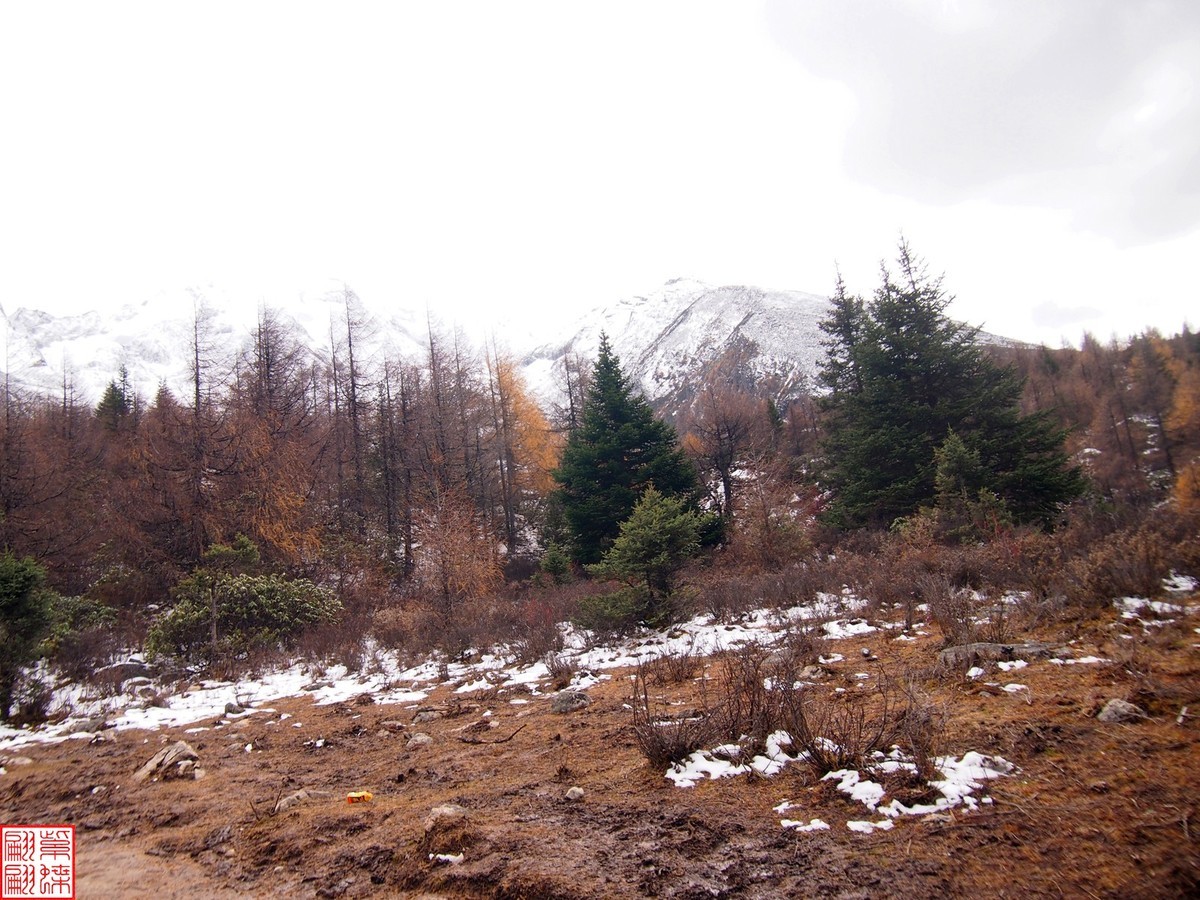 2024.11走近亚拉雪山（1）