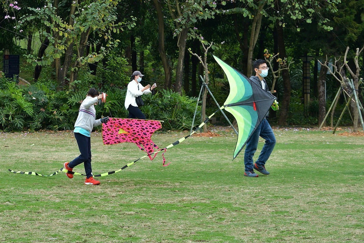 公园里放风筝