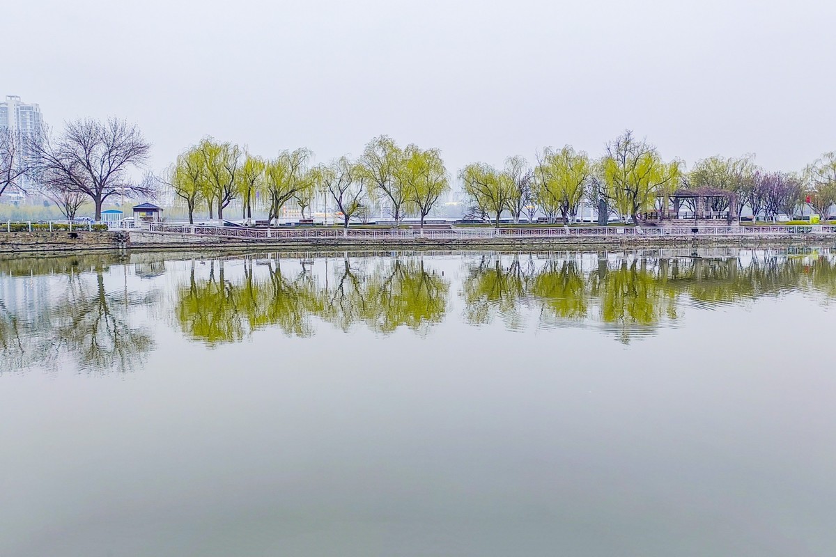 细雨蒙蒙的春景