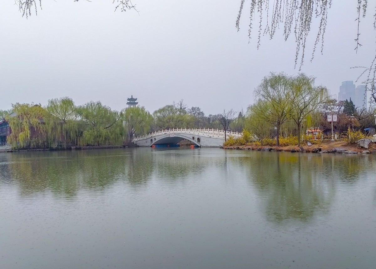细雨蒙蒙的春景