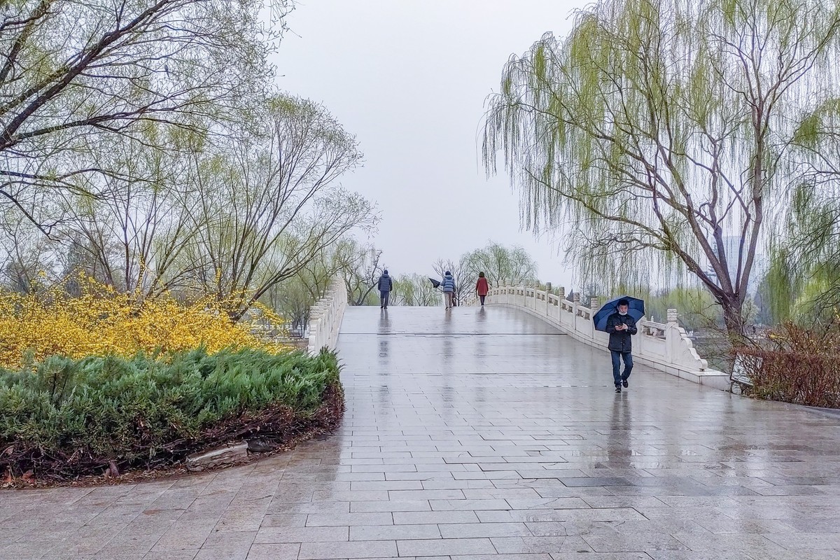 细雨蒙蒙的春景