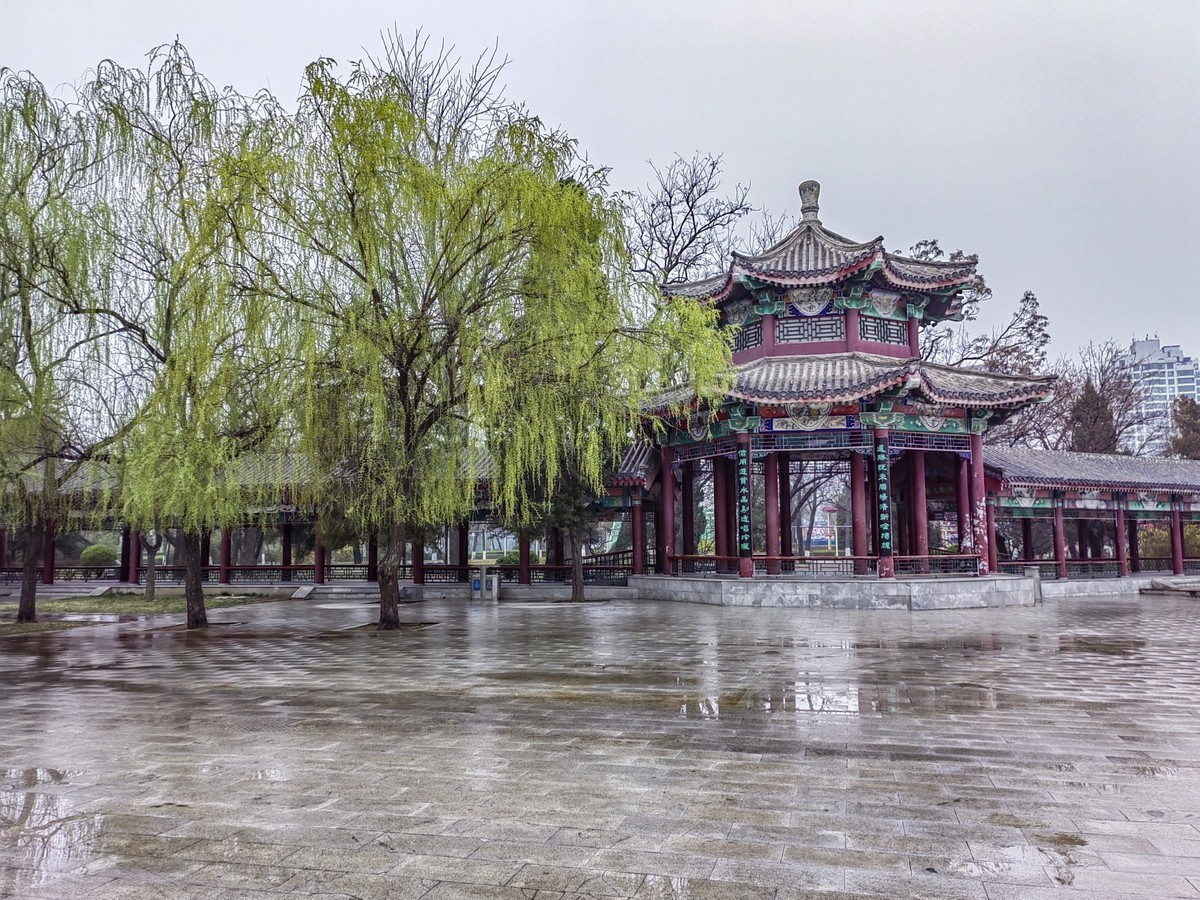 细雨蒙蒙的春景