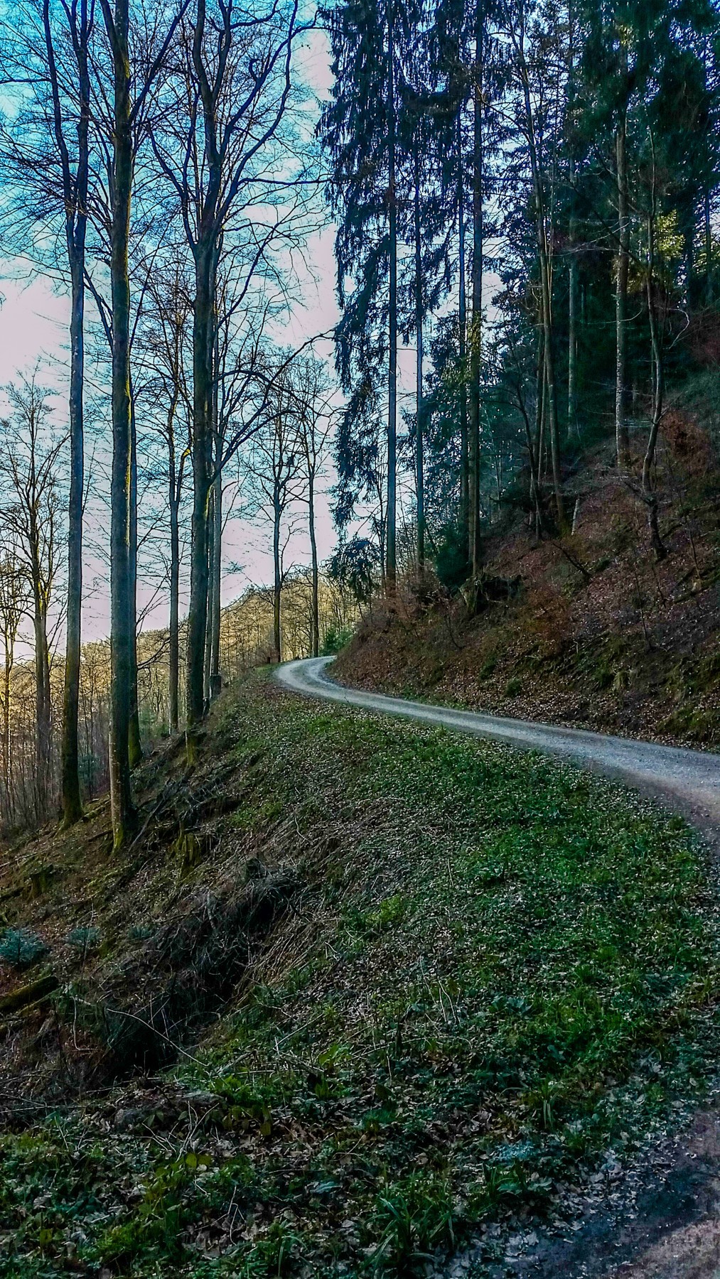 骑拍“黑森林”（南德）