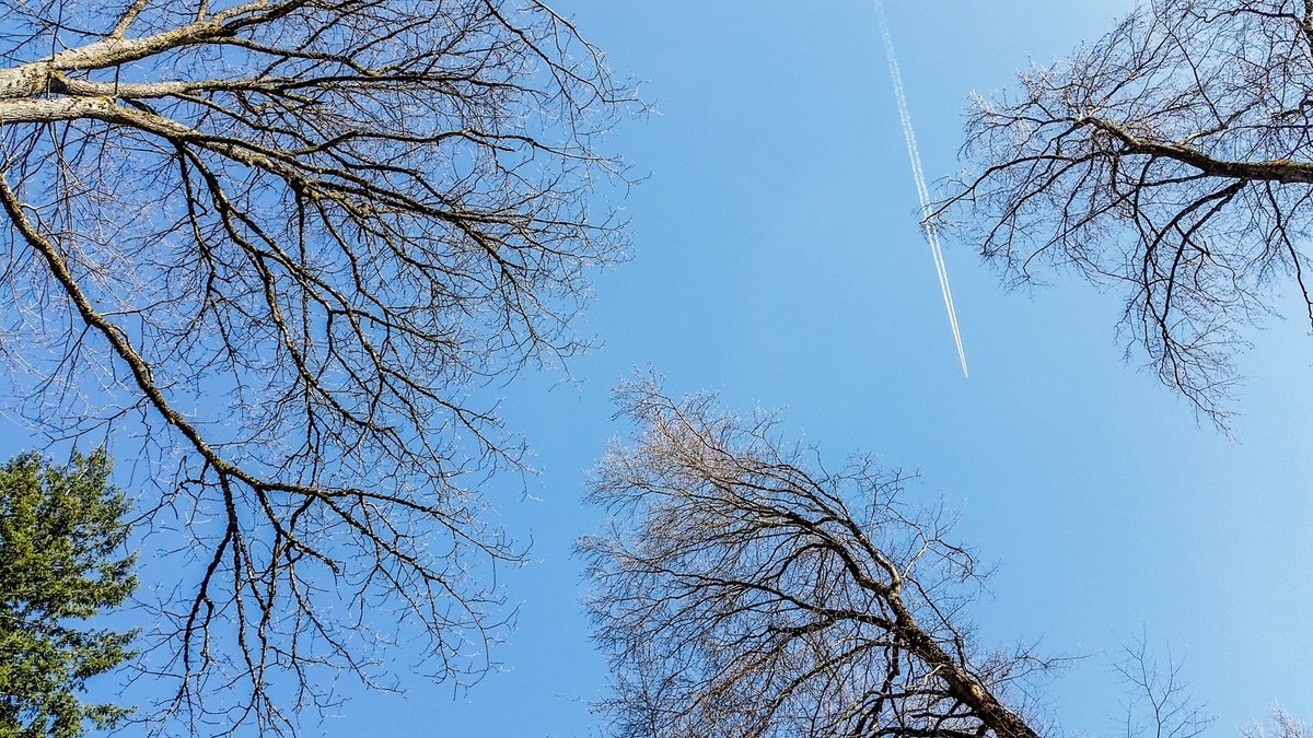 骑拍“黑森林”（南德）