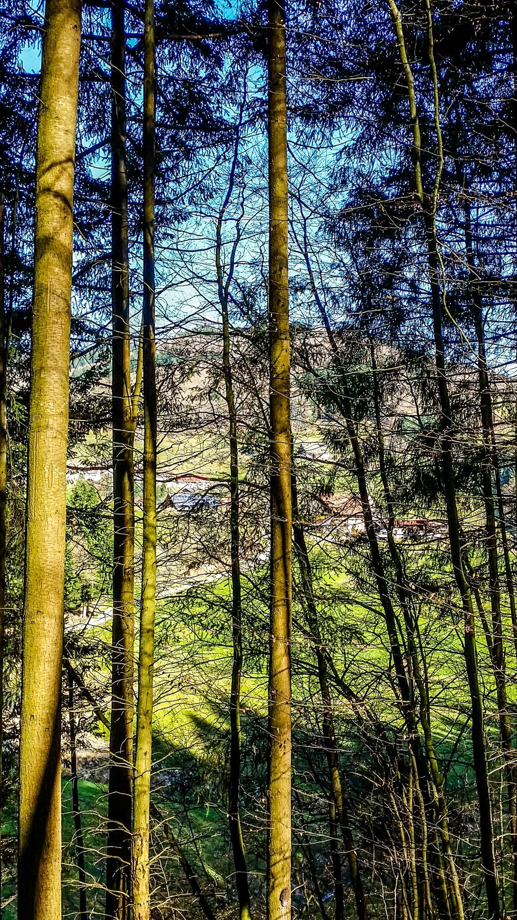 骑拍“黑森林”（南德）