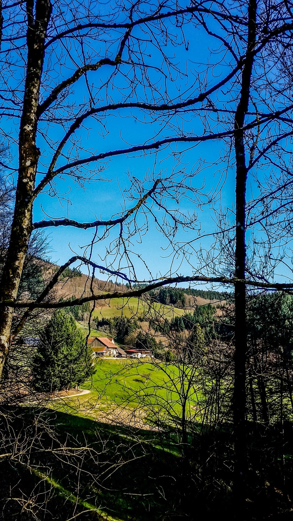 骑拍“黑森林”（南德）