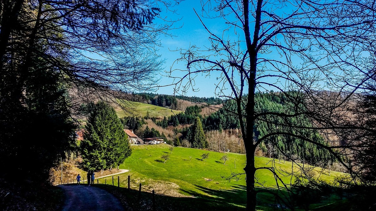 骑拍“黑森林”（南德）