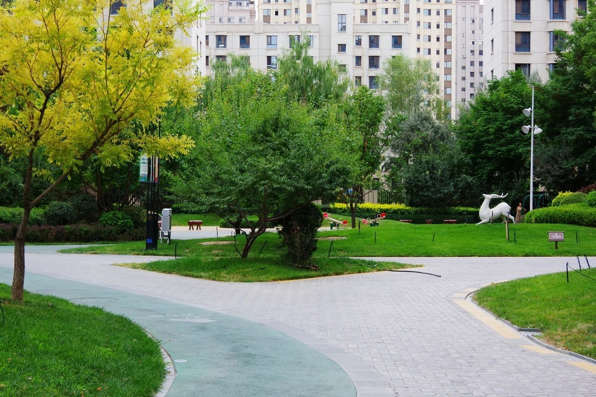 俺并不喜欢玩摄影，只是喜欢随手拍而已！