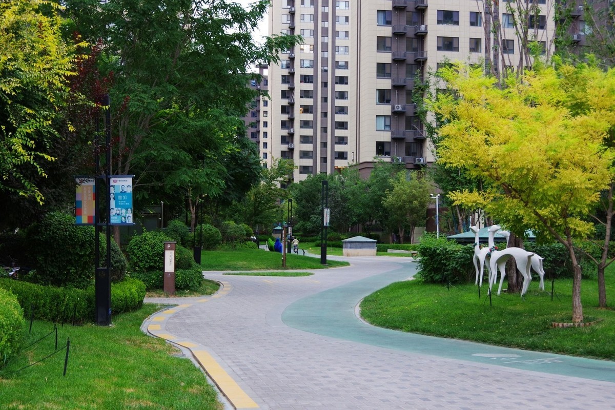 俺并不喜欢玩摄影，只是喜欢随手拍而已！