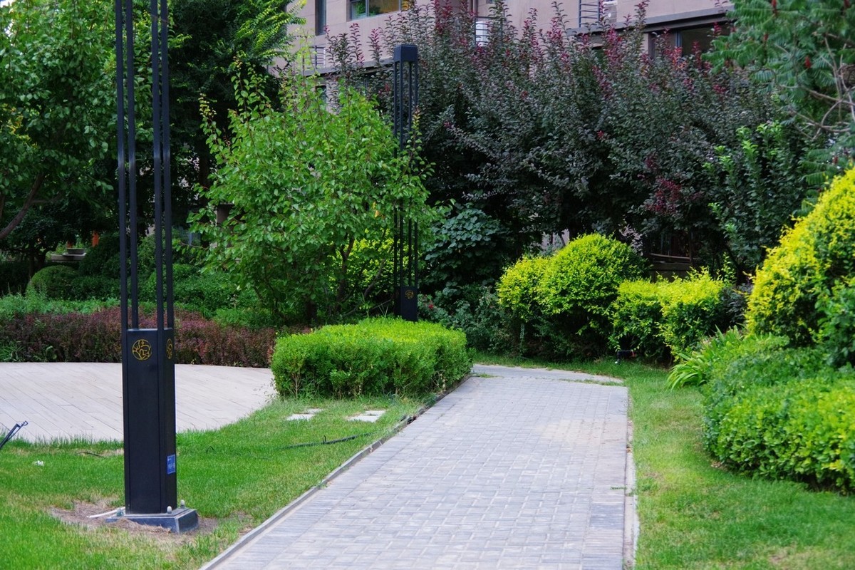 俺并不喜欢玩摄影，只是喜欢随手拍而已！