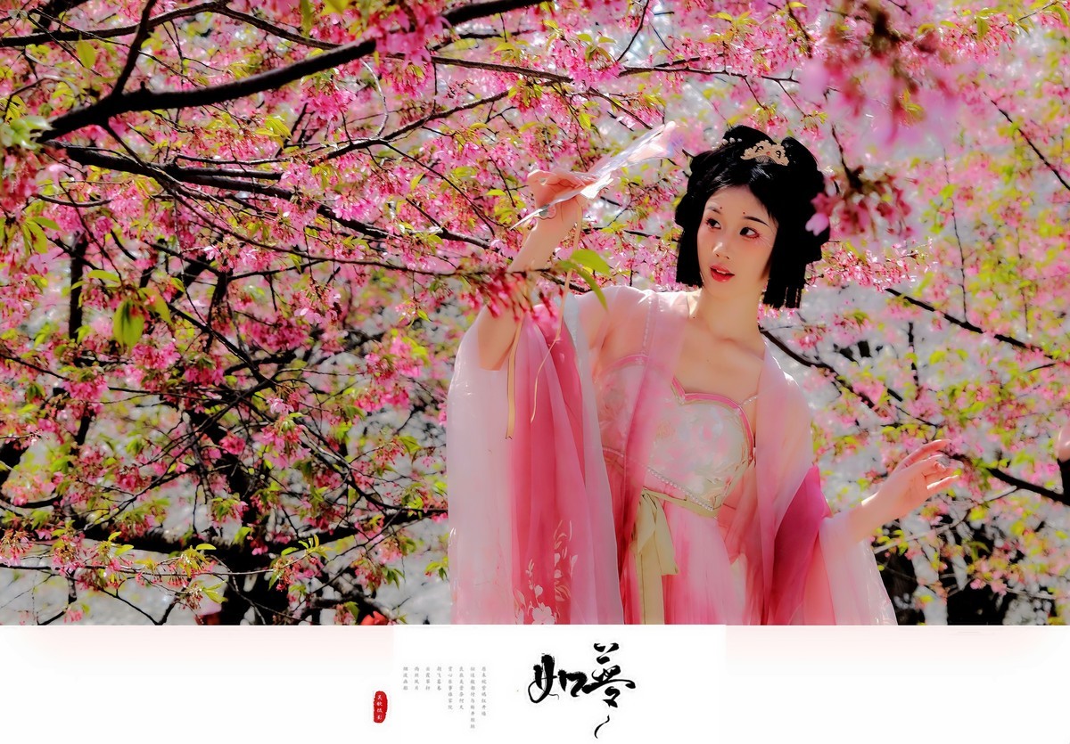 古风人像∶花谢花飞花满天，红消香断有谁怜。