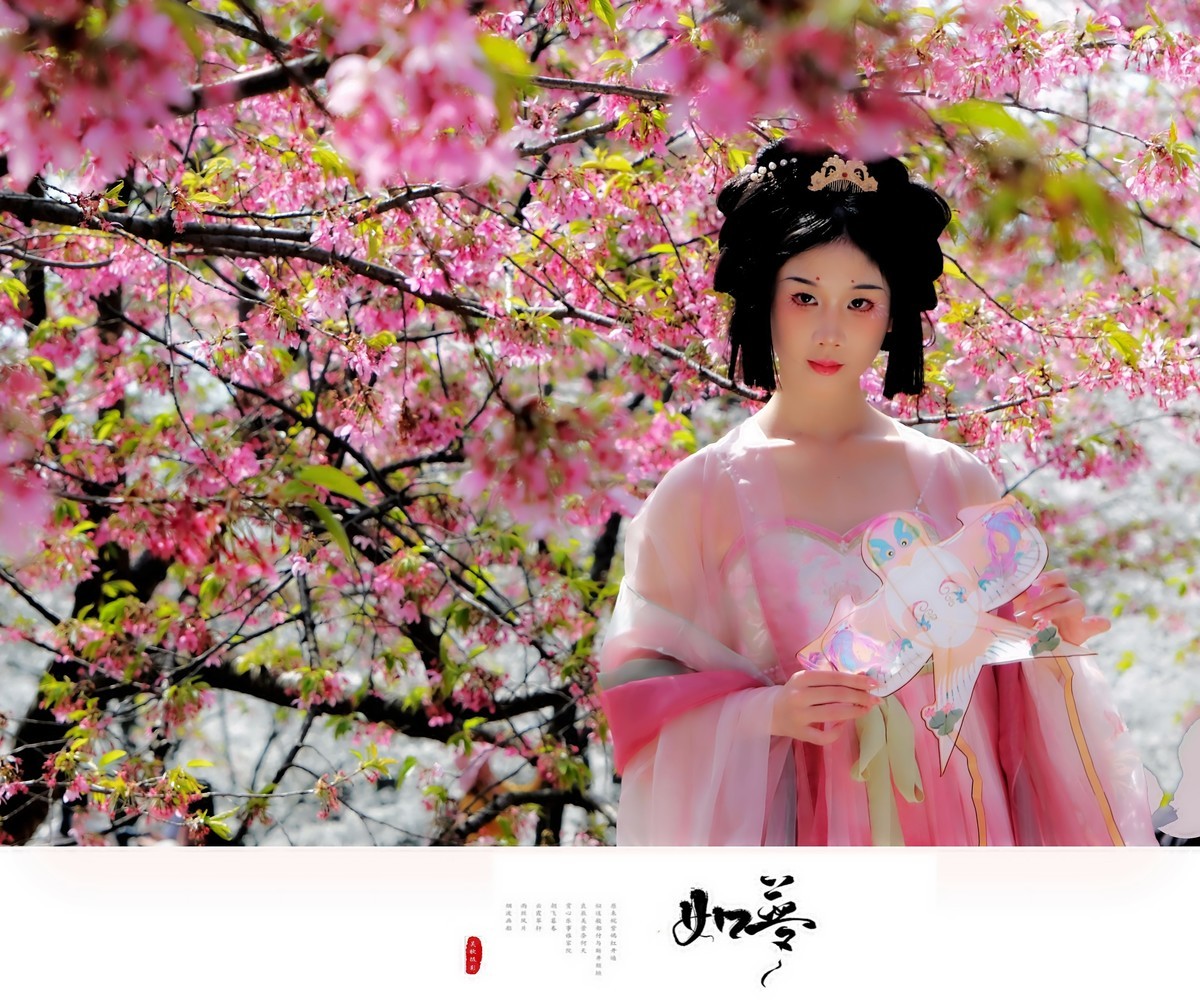 古风人像∶花谢花飞花满天，红消香断有谁怜。