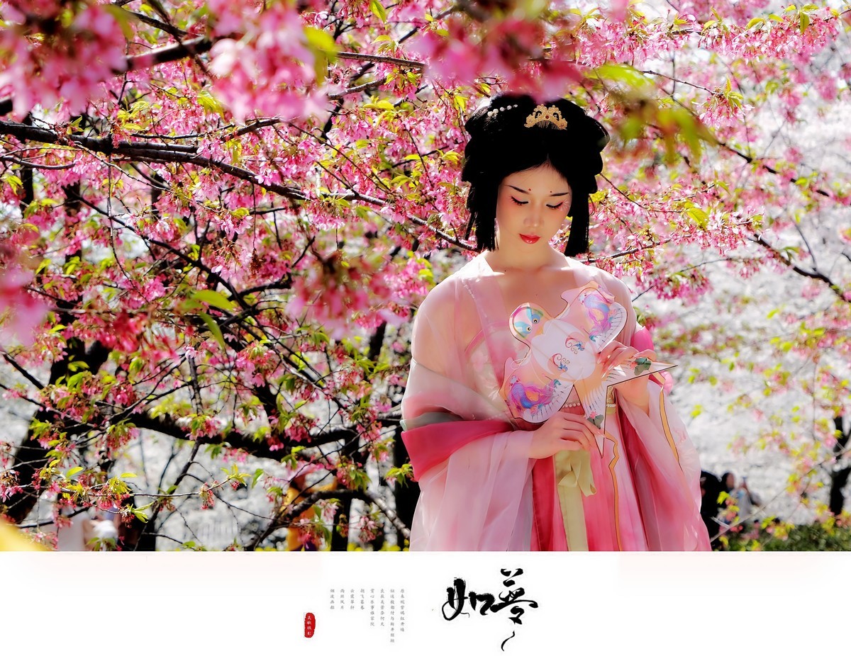 古风人像∶花谢花飞花满天，红消香断有谁怜。