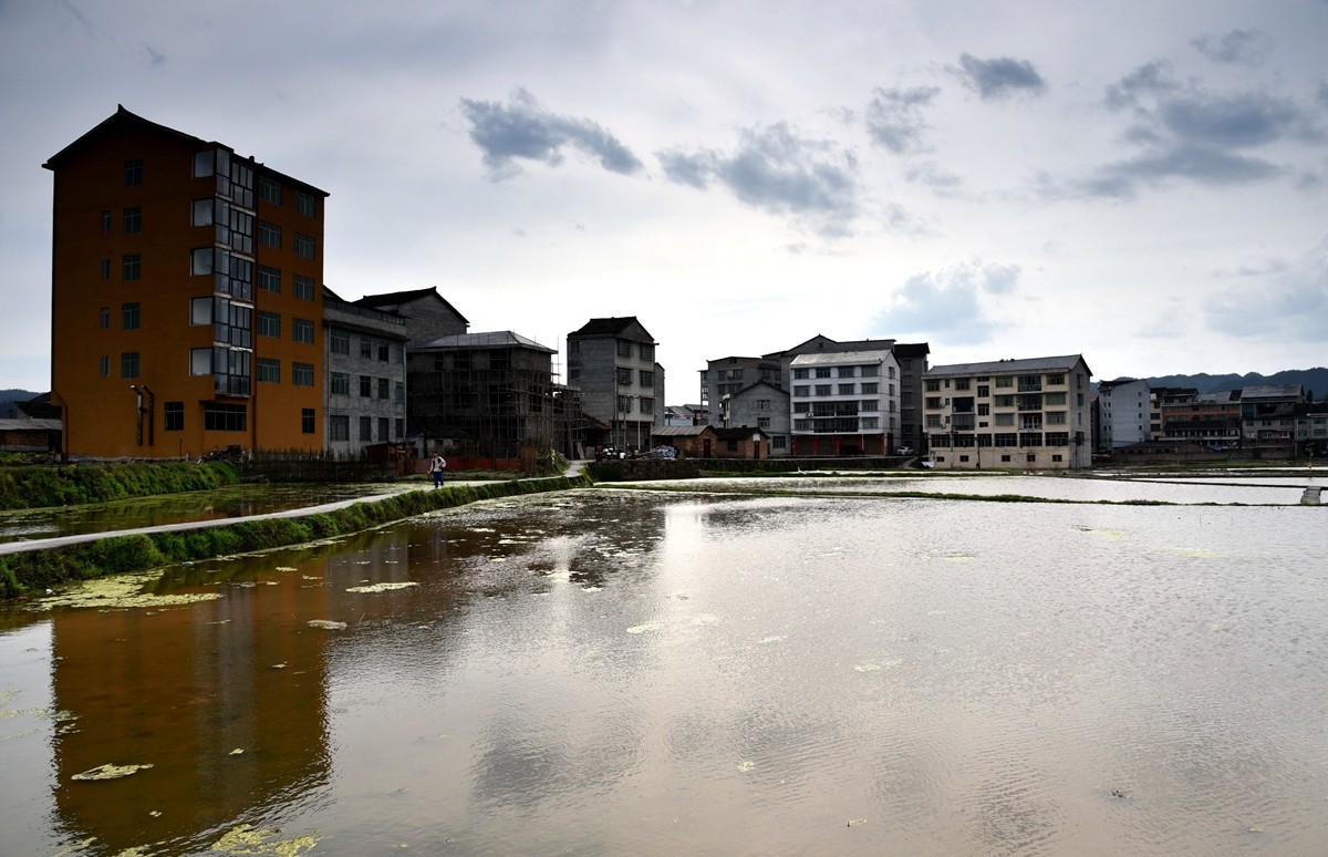 公路边的田园风光【贵州天柱县高酿镇】【2】