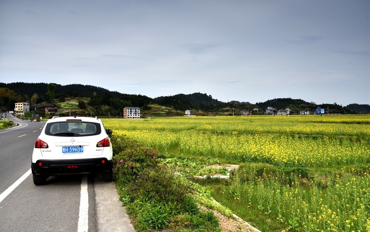 公路边的田园风光【贵州天柱县高酿镇】【2】