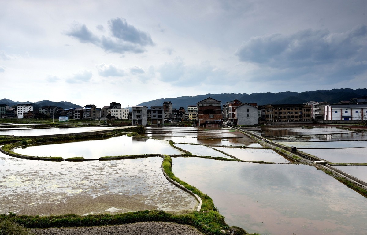 公路边的田园风光【贵州天柱县高酿镇】【2】