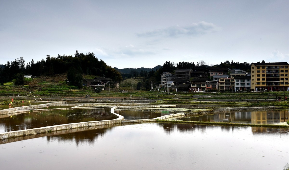 公路边的田园风光【贵州天柱县高酿镇】【4】