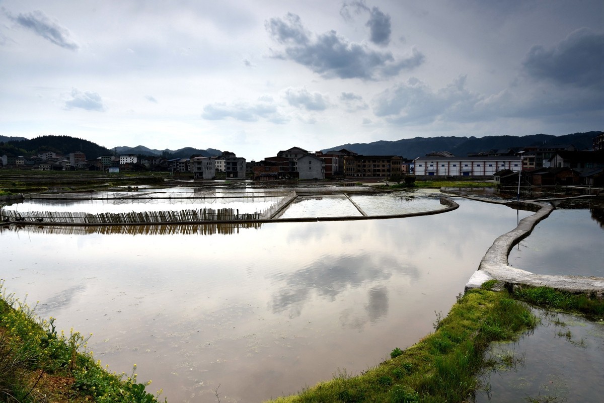 公路边的田园风光【贵州天柱县高酿镇】【4】