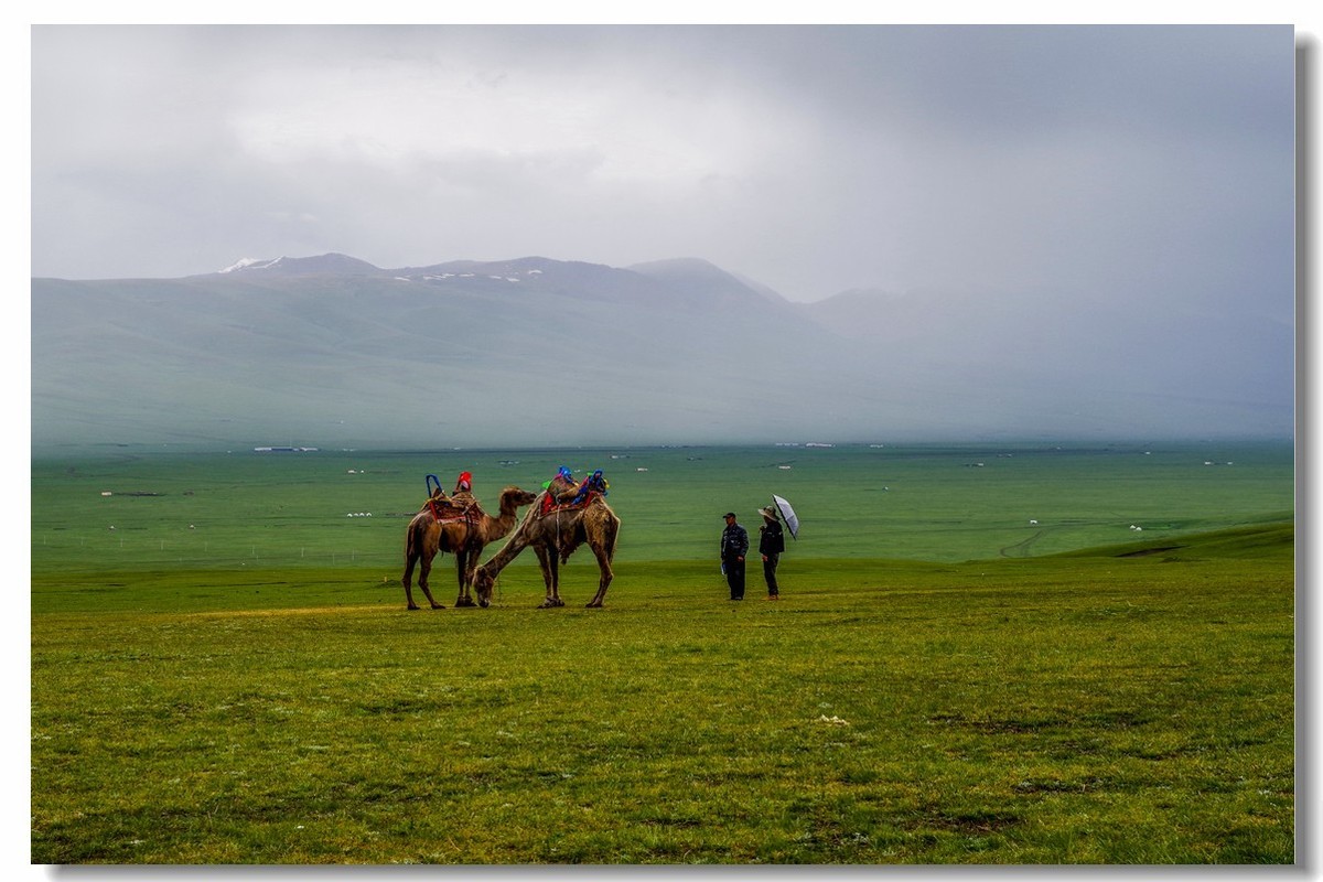 新疆之旅——巴音布鲁克草原（1）