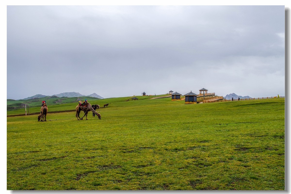 新疆之旅——巴音布鲁克草原（1）