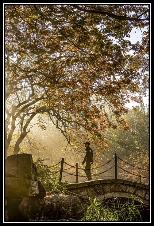青岛百花苑秋色