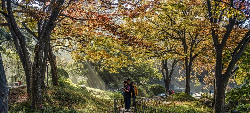 青岛百花苑秋色