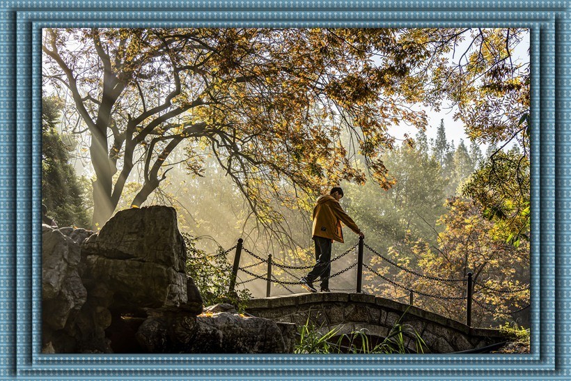 青岛百花苑秋色