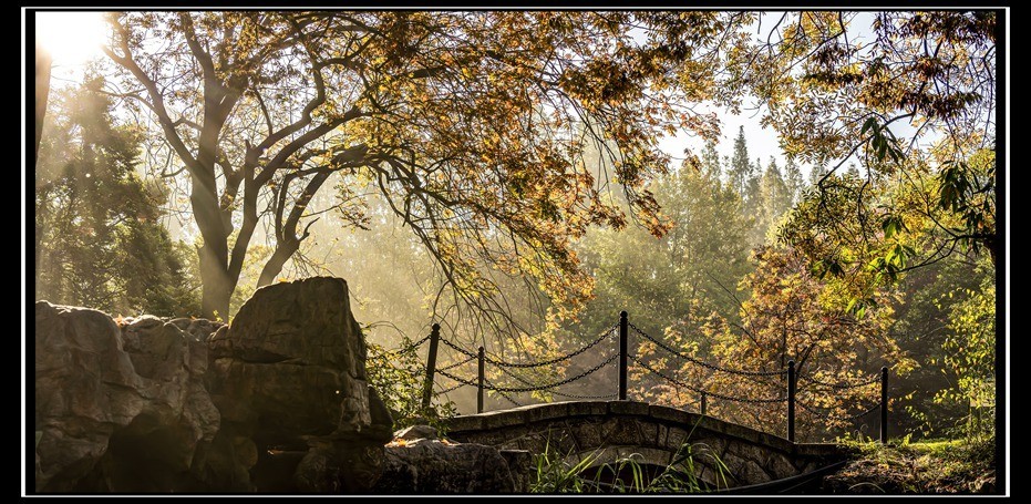 青岛百花苑秋色