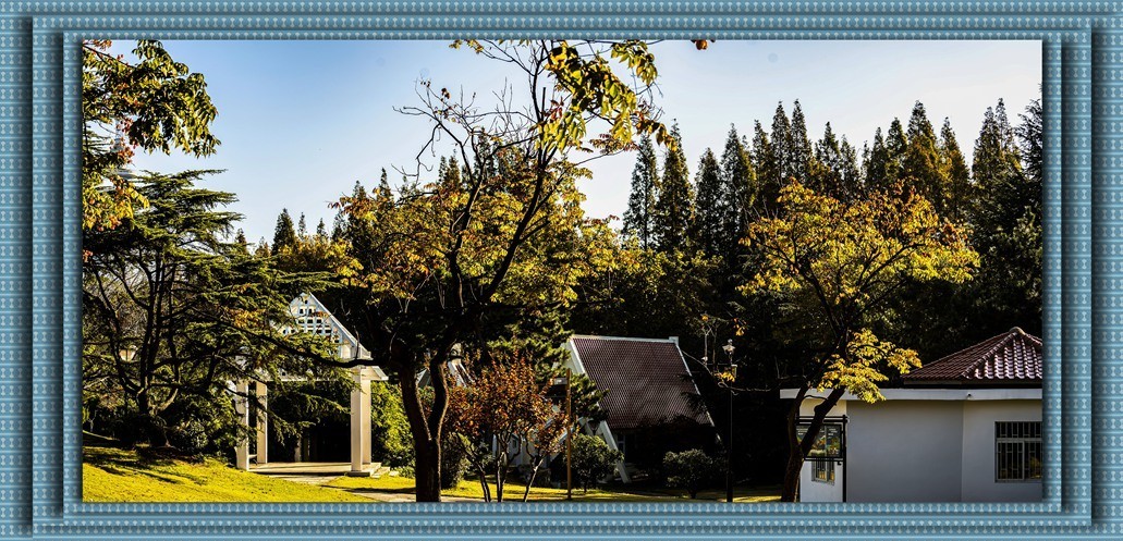 青岛百花苑秋色