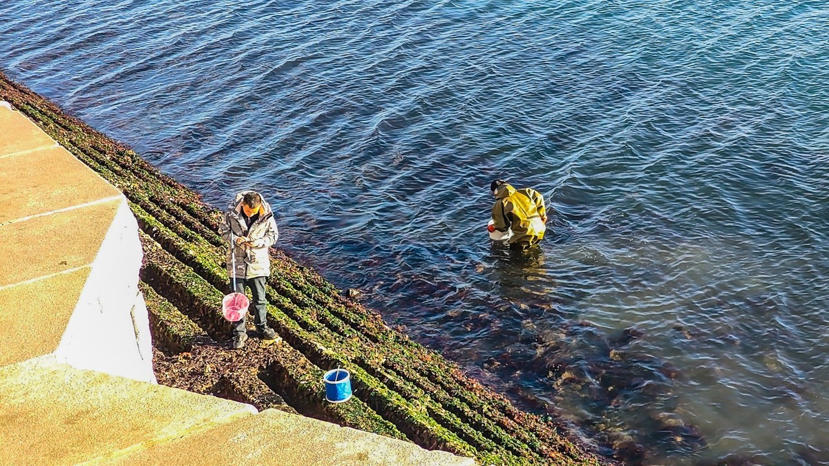 大 连 的 海 ------ 开发区临近杂货码头的海