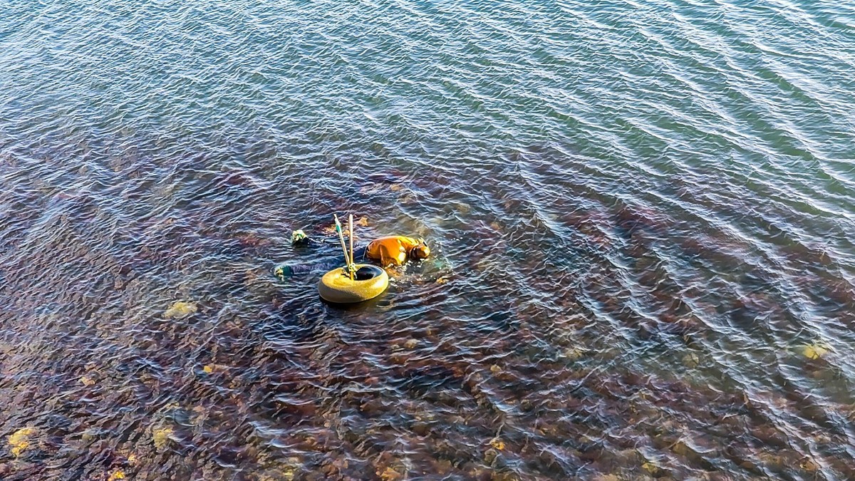 大 连 的 海 ------ 开发区临近杂货码头的海