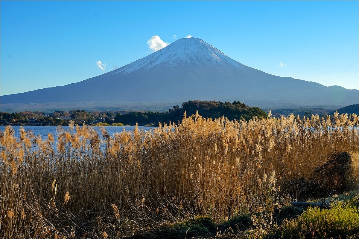 2024年第0934贴-富士山河口湖大石公园旅拍（1224）