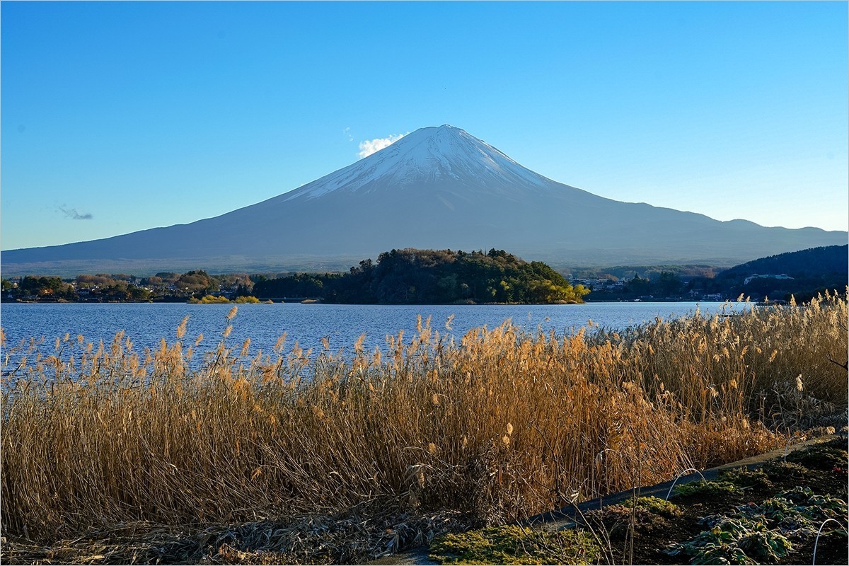 2024年第0934贴-富士山河口湖大石公园旅拍（1224）