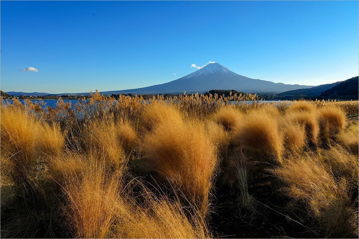 2024年第0934贴-富士山河口湖大石公园旅拍（1224）