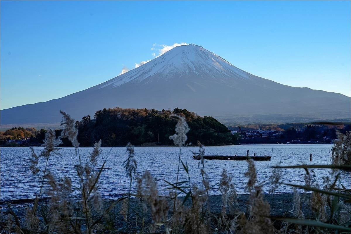 2024年第0934贴-富士山河口湖大石公园旅拍（1224）