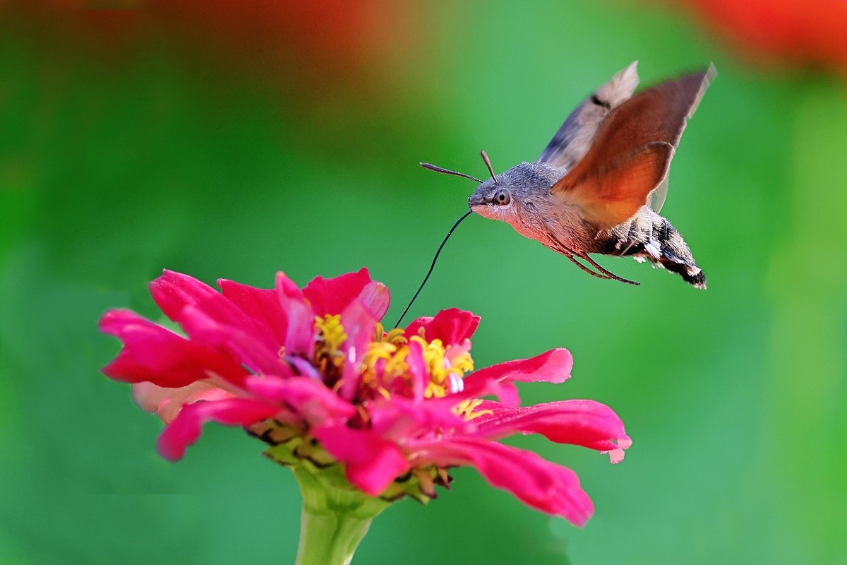 奇妙的果冻效应（R7+RF100~500）