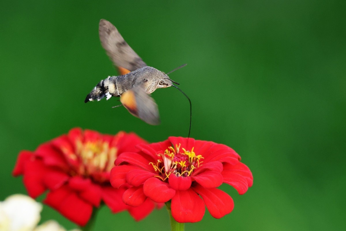 奇妙的果冻效应（R7+RF100~500）