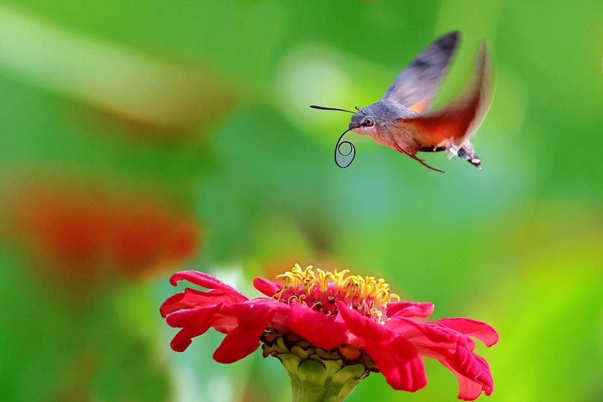 奇妙的果冻效应（R7+RF100~500）