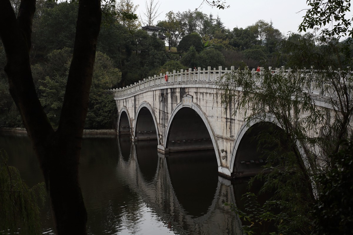 海尔标头拍菊展（与太苦玛标头比较一下）