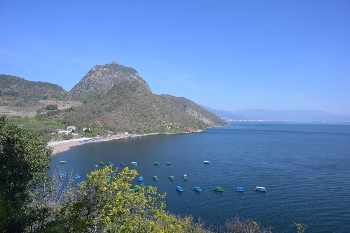 新入手尼康Z8加24—120试拍