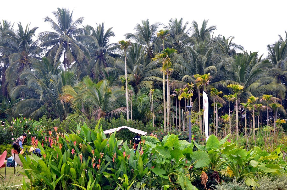 海南 万宁兴隆巧克力小镇(二)