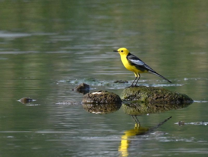 新人报到，敬请各位版主及各位老师关顾、指导。