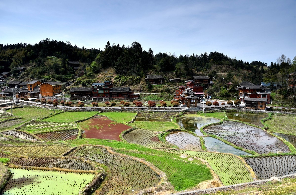 贵州从江至锦屏路途随拍【3】