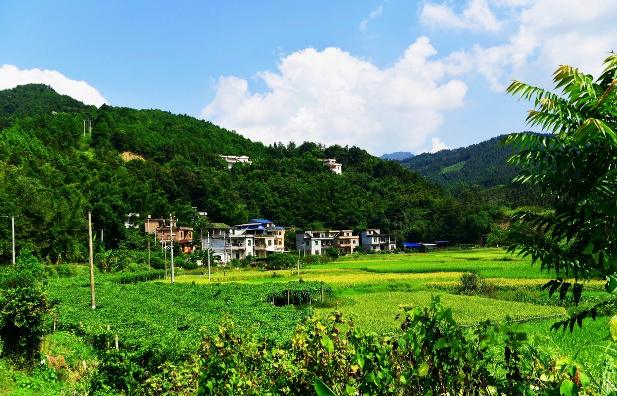 天宝村侗寨今朝